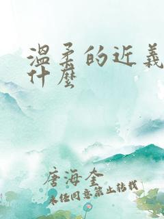 温柔的近义词是什么