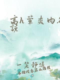 高h荤爽肉欲小说