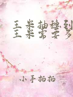 玉米抽穗到吃嫩玉米需要多久