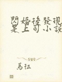 闪婚后发现老公是上司小说