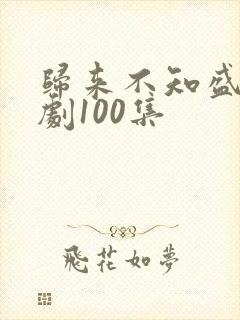 归来不知盛夏短剧100集
