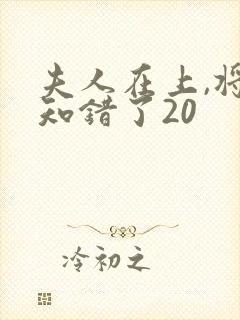 夫人在上,将军知错了20