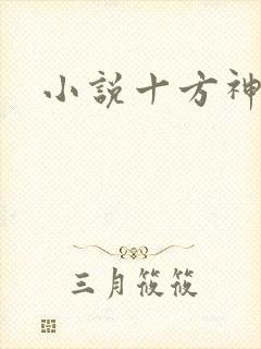 小说十方神王