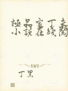 极品家丁未删减小说在线阅读