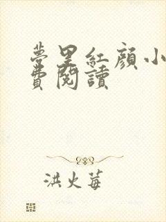 梦里红颜小说免费阅读