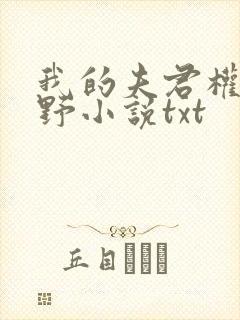 我的夫君权倾朝野小说txt