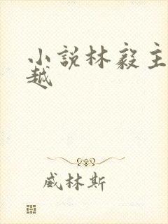 小说林毅主角穿越