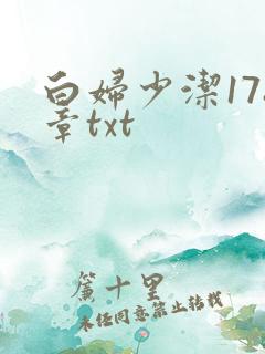 白妇少洁178章txt
