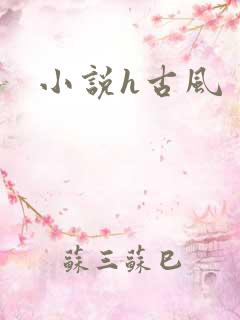 小说h古风