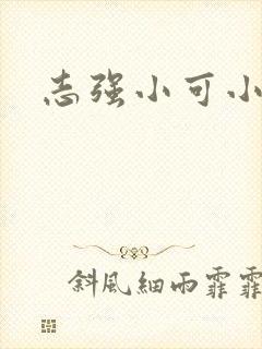 志强小可小说