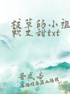 校草的小祖宗又软又甜txt
