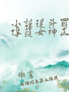 小说从斗罗开始俘获女神正版全文下载