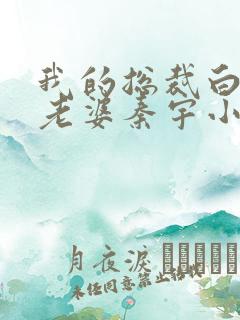 我的总裁白富美老婆秦宇小说未删版