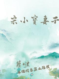 宋小宝妻子