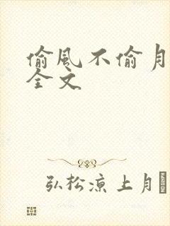 偷风不偷月小说全文