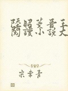 陆昭菱晋王免费阅读小说大结局