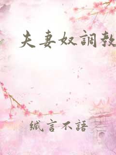 夫妻奴调教经历