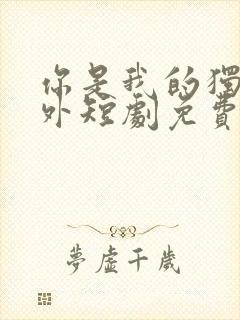 你是我的独家意外短剧免费全集免费播放