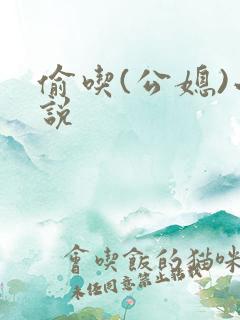 偷吃(公媳)小说