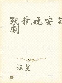 战爷,晚安 短剧