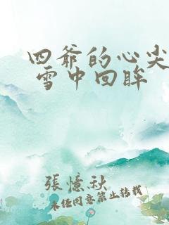 四爷的心尖宠妃 雪中回眸