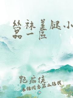 丝袜美腿小说精品一区