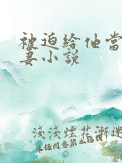 被迫给他当了男妻小说
