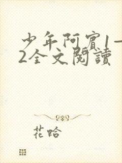 少年阿宾1—72全文阅读