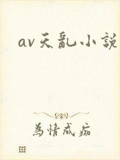 av天乱小说