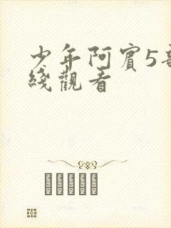 少年阿宾5部在线观看