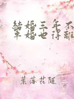 结婚三年不回家军婚也得离txt
