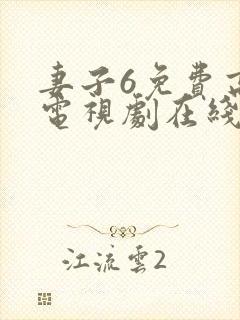 妻子6免费高清电视剧在线观看