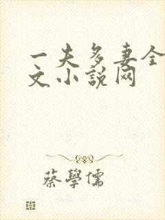 一夫多妻全肉爽文小说网