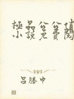 极品公公俏媳妇小说免费阅读