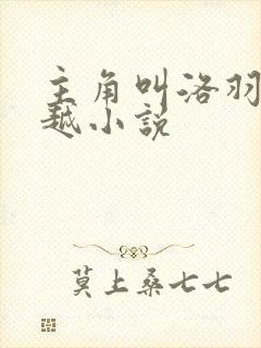 主角叫洛羽的穿越小说