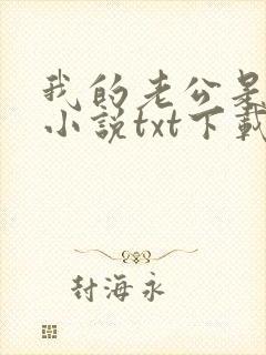 我的老公是大佬小说txt下载