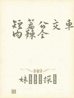 短篇公交车高h肉辣全