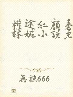 权途红颜秦天明林婉小说免费阅读