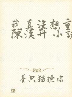 我真没想重生啊陈汉升 小说