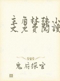 主角林殊小说全文免费阅读