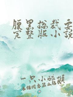 腹黑总裁要抱抱完整版小说免费阅读