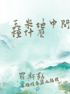 玉米地中间可以种什么
