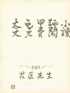 大龟甲师小说全文免费阅读免费