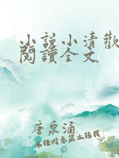小说小清欢免费阅读全文