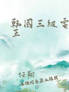 韩国三级电影女主