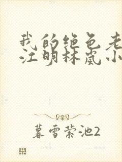 我的绝色老板娘江明林岚小说