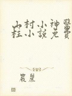 山村小神医王铁柱小说免费阅读