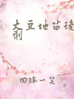 大豆地苗后除草剂