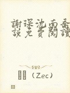 谢琛沈南乔的小说免费阅读