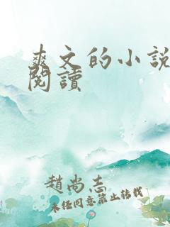 爽文的小说免费阅读